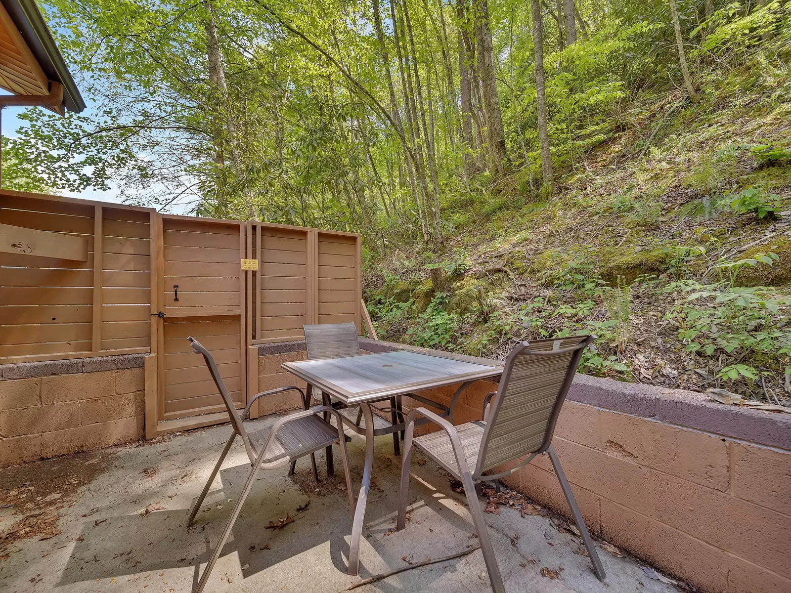 Property image, Exterior, of Bear Footin' #1106