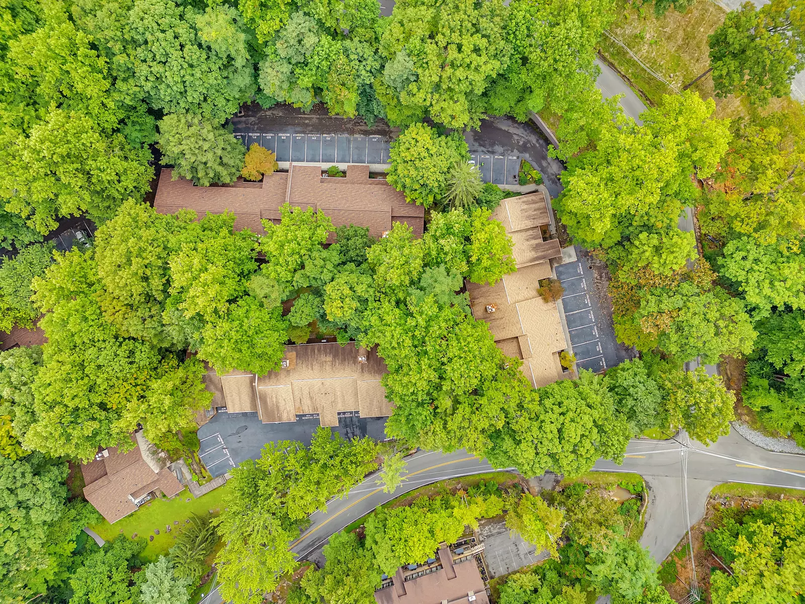 Property image, Exterior, of Bear Hug Hideaway #368