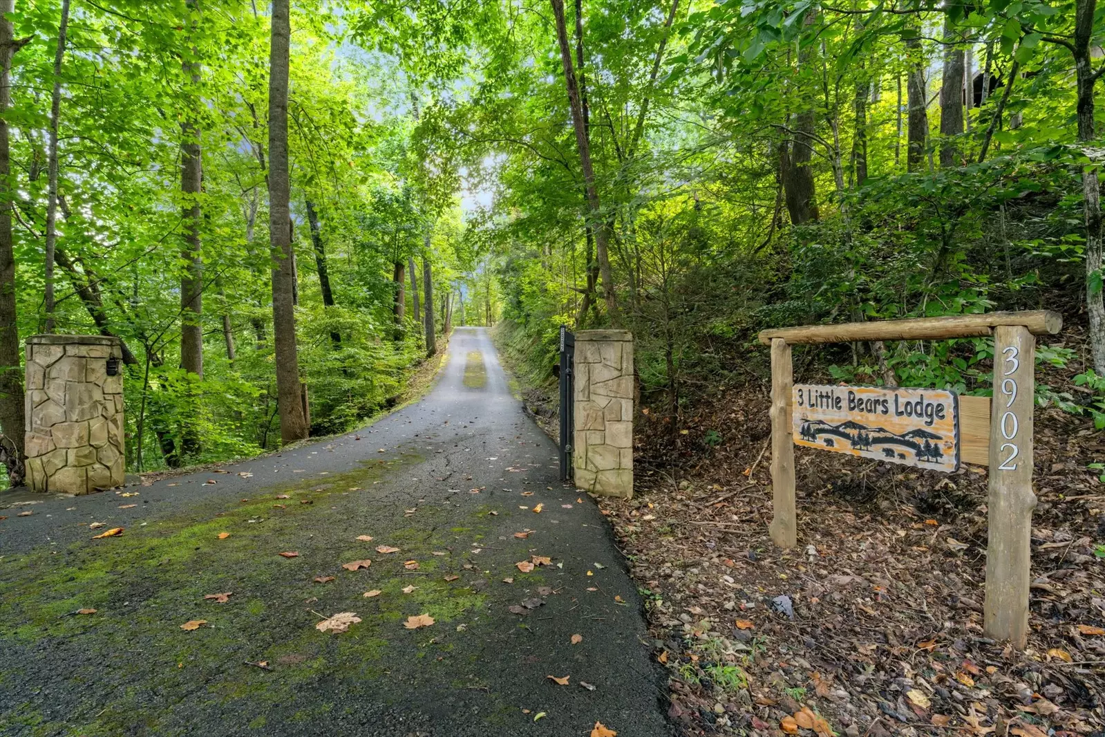 Property image, Exterior, of Three Little Bears Lodge #445