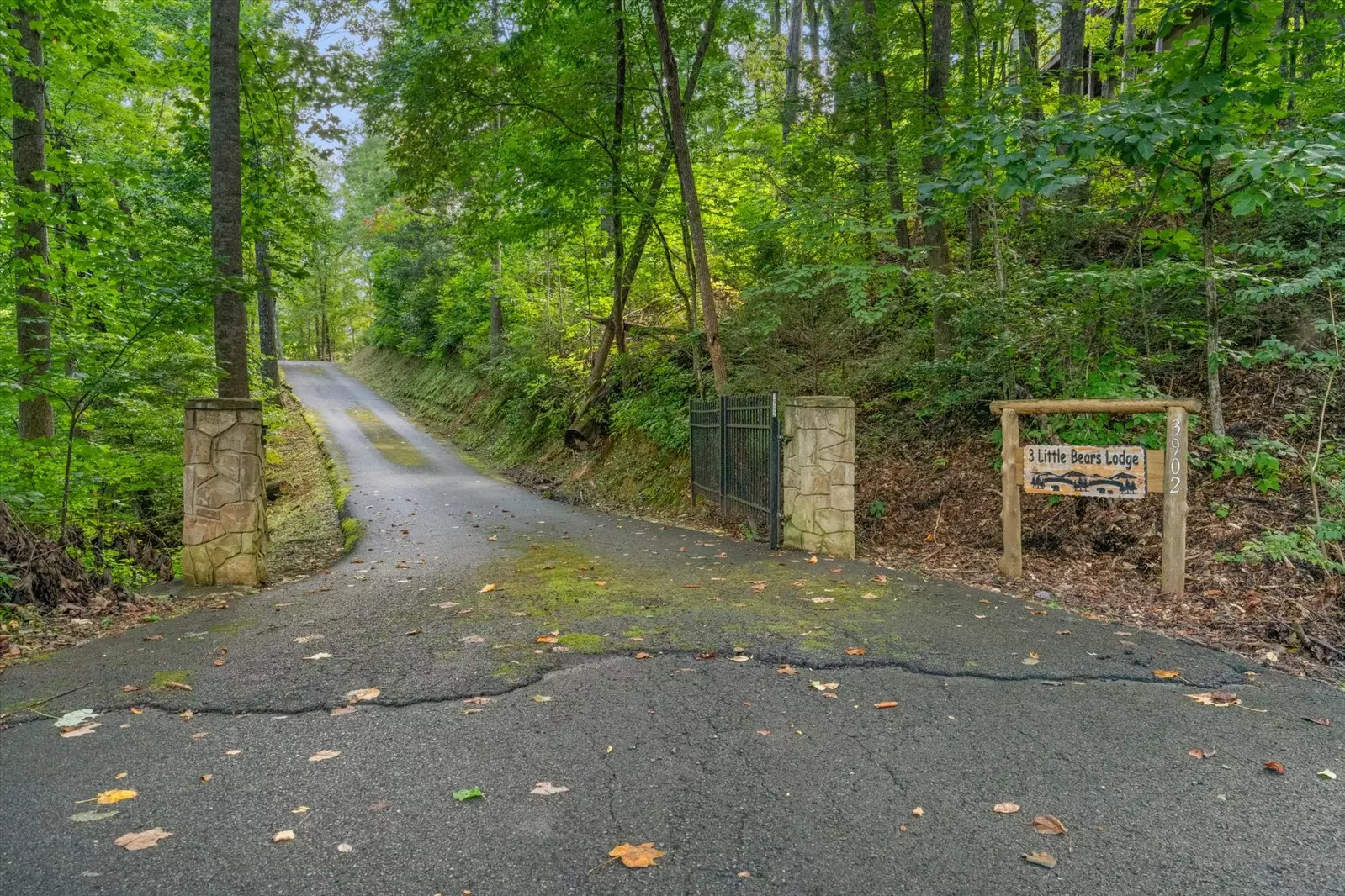 Property image, Exterior, of Three Little Bears Lodge #445