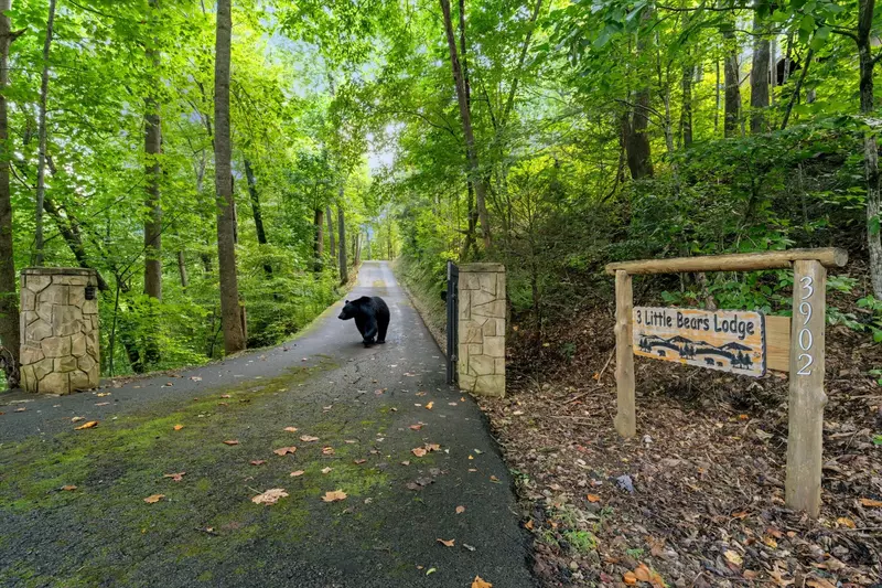 Property image, Exterior, of Three Little Bears Lodge #445