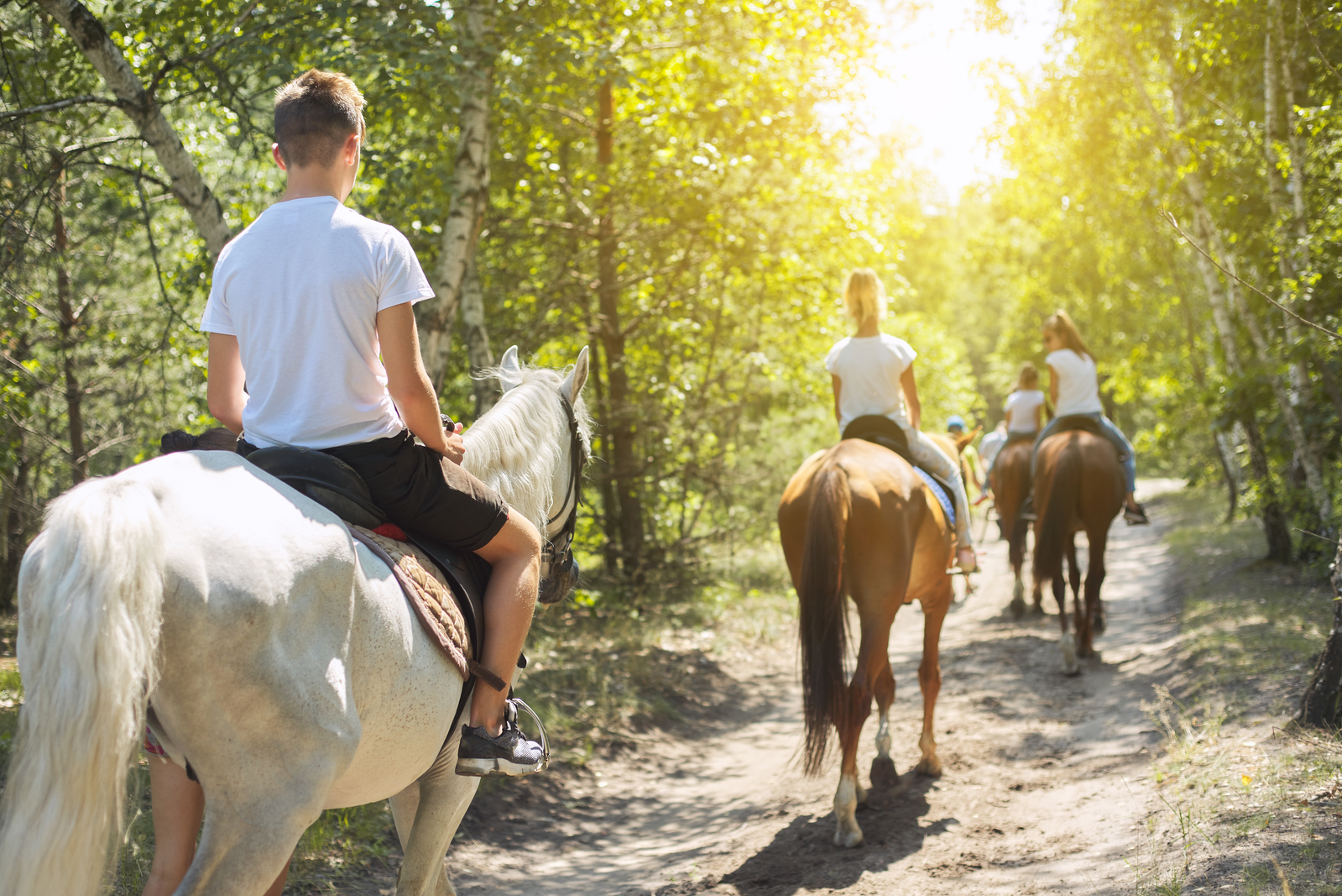 people on horseback ride in woods