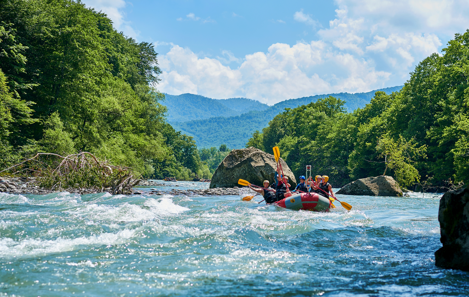 people rowing on river