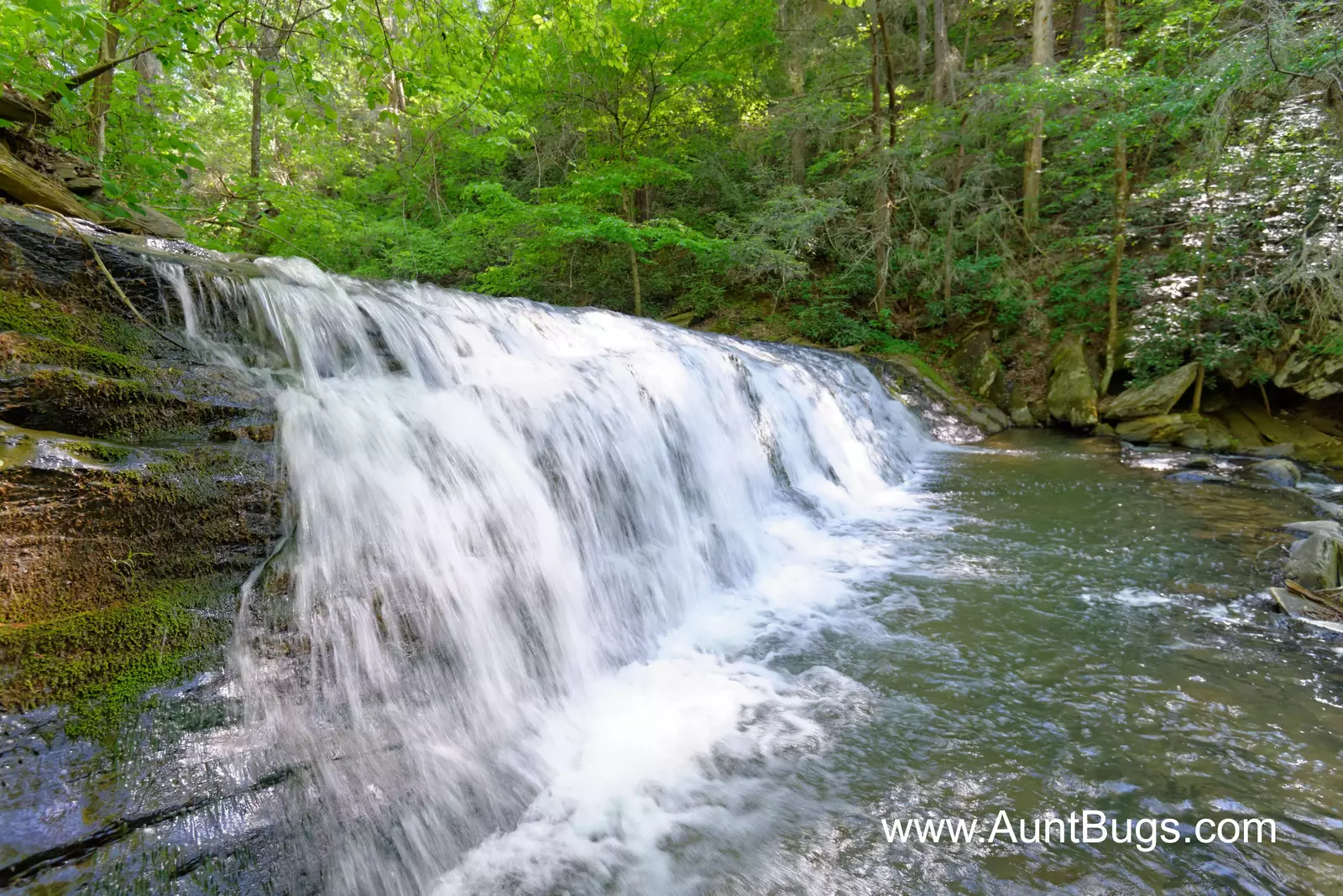 Property image, Exterior, of Above The Falls #144