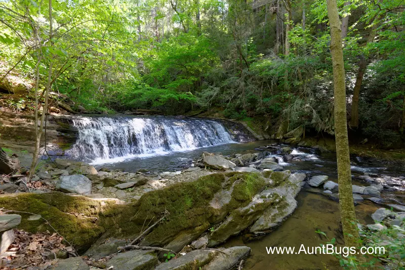 Property image, Exterior, of Above The Falls #144