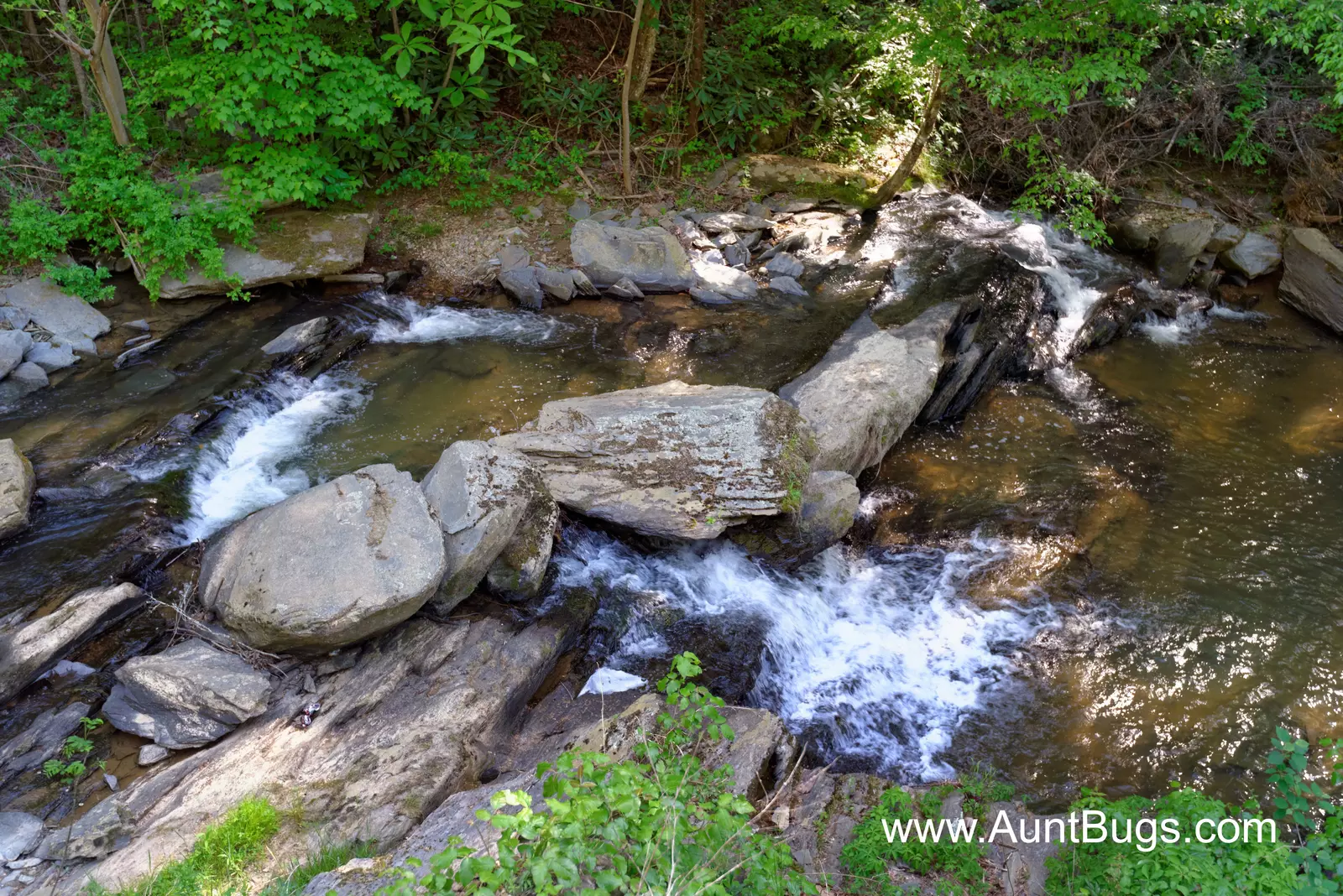 Property image, Exterior, of Above The Falls #144