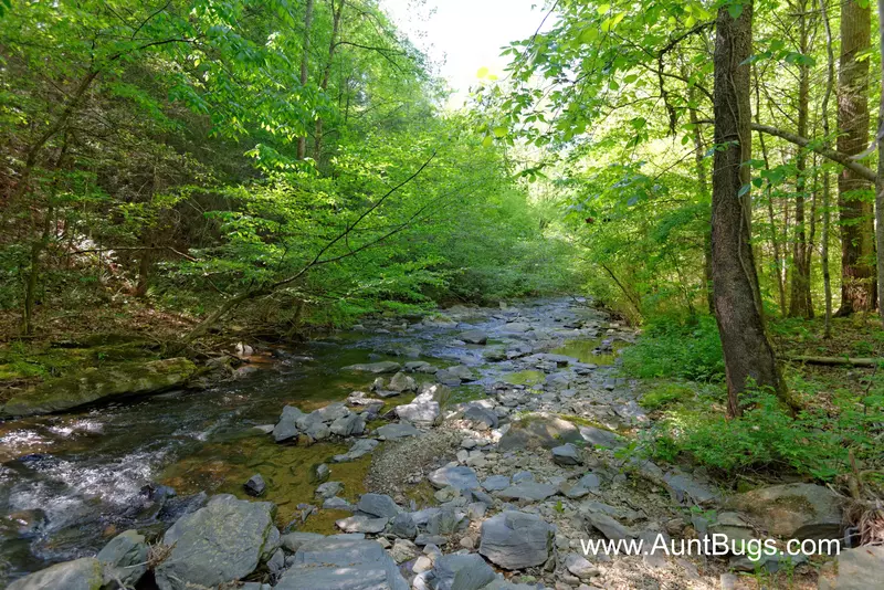 Property image, Exterior, of Above The Falls #144