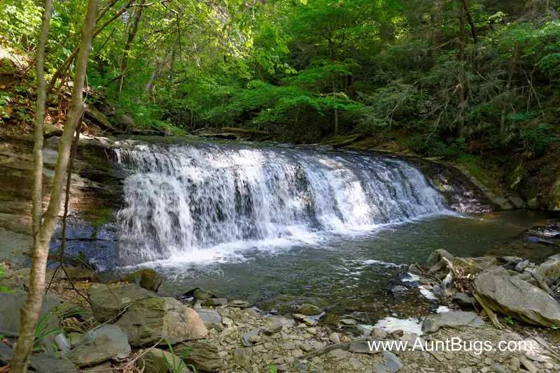 Property image, Interior, of Above The Falls #144