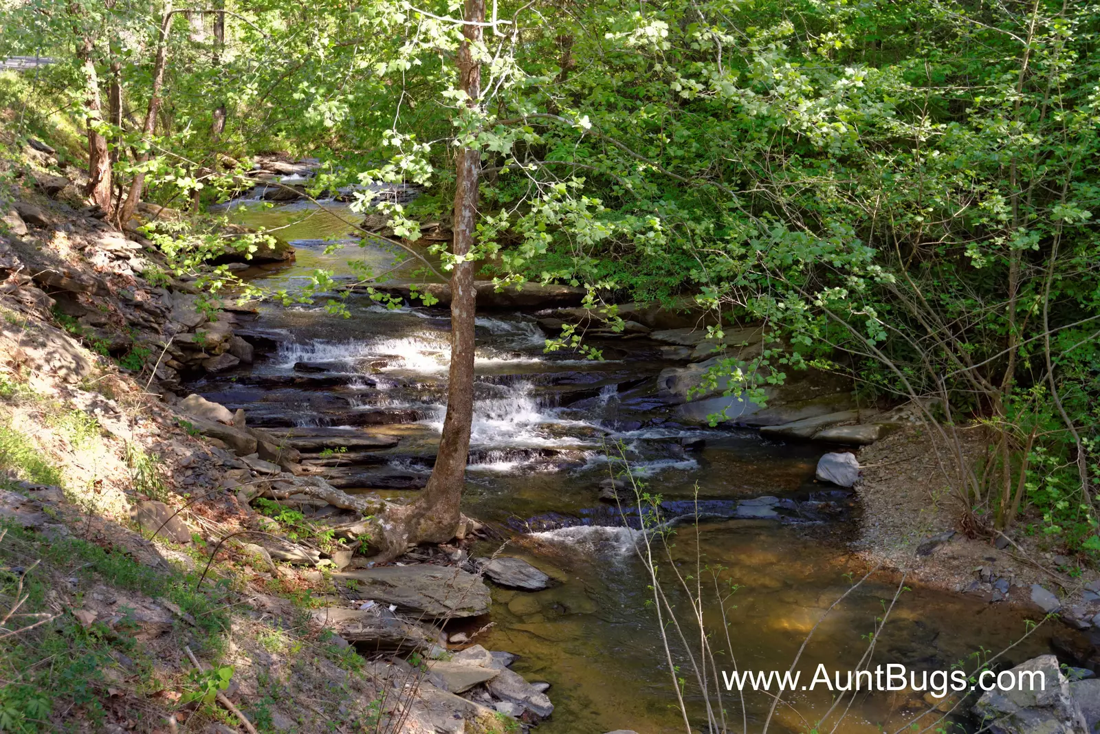 Property image, Interior, of Above The Falls #144