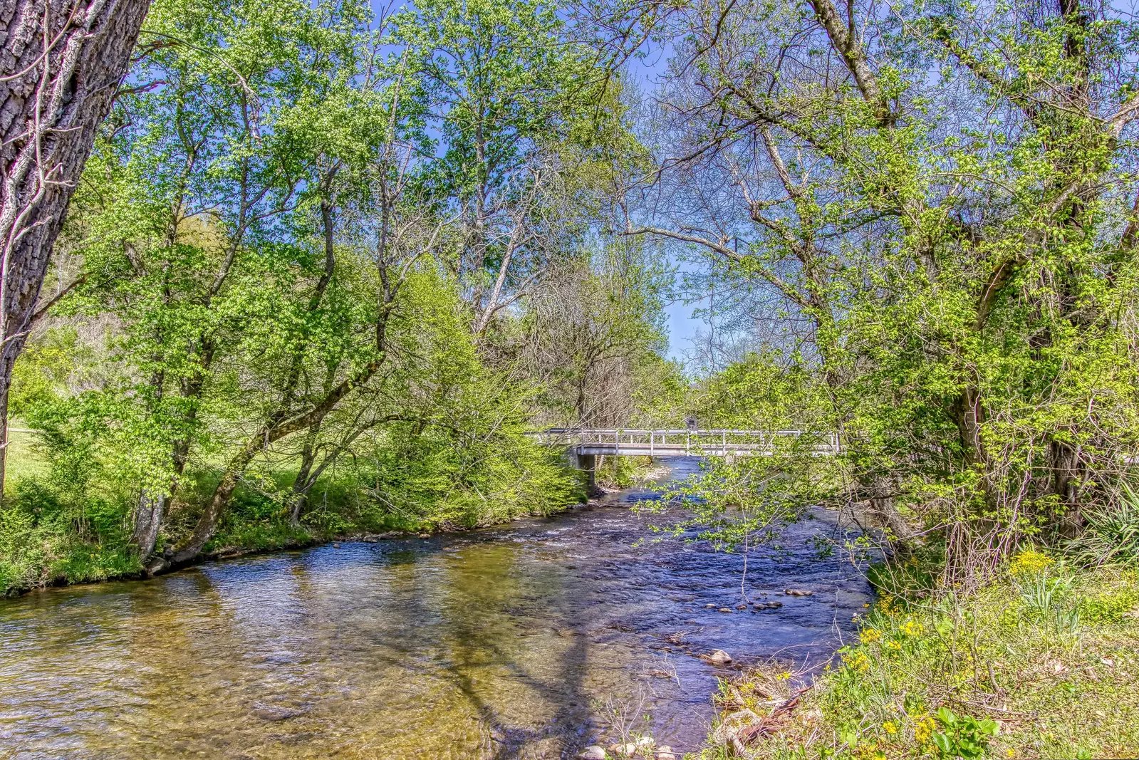 Property image, Exterior, of Mystical Creek Pool Lodge #600