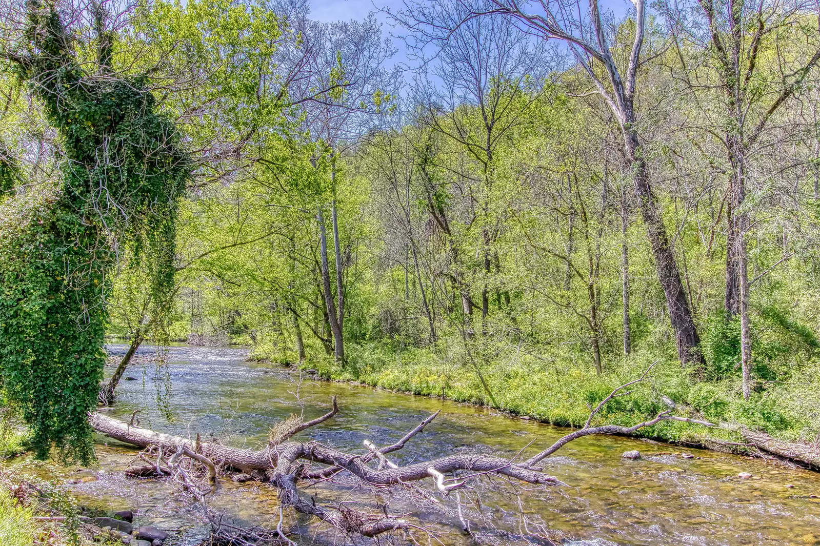 Property image, Exterior, of Mystical Creek Pool Lodge #600