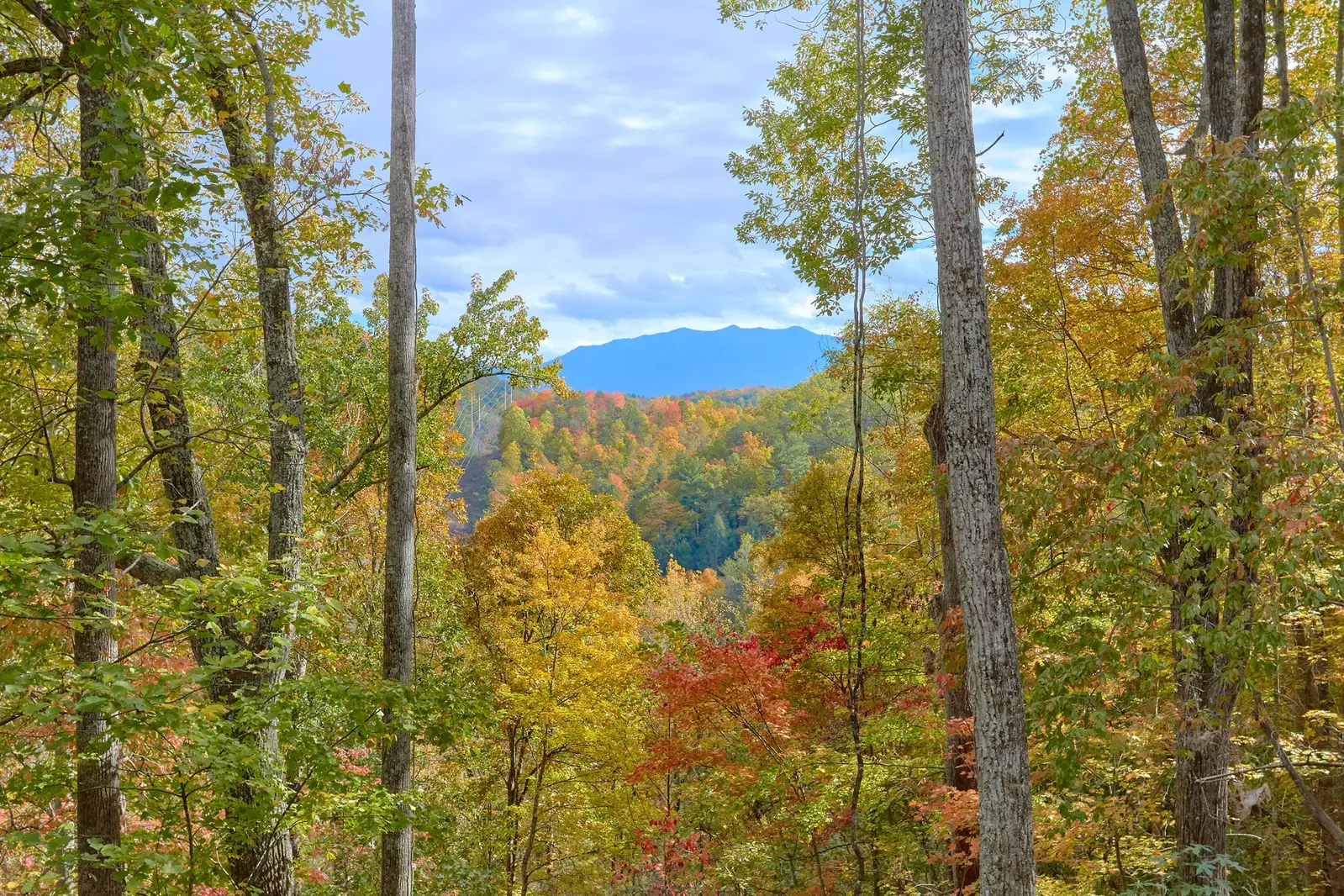 Property image, Exterior, of A Tranquility Den #210