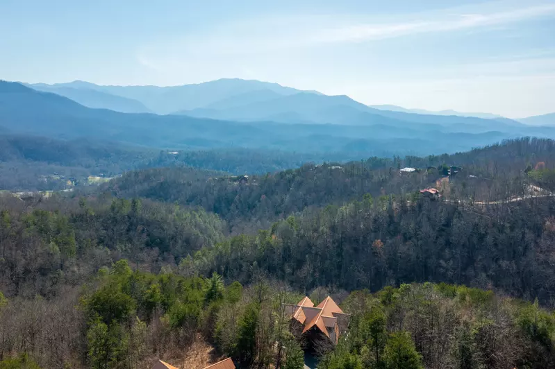 Property image, Exterior, of Cabin Fever Lodge  #750