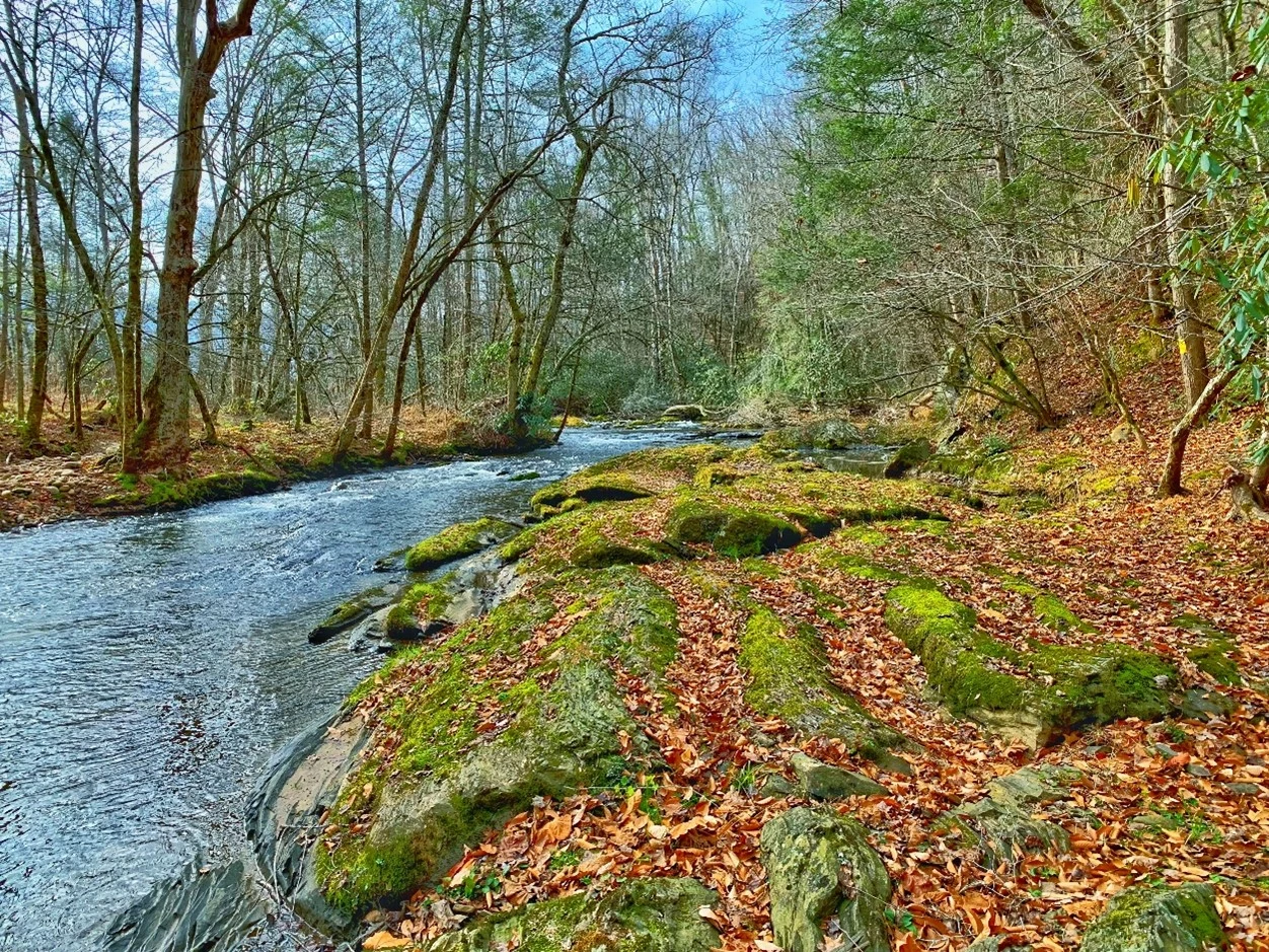 Property image, Exterior, of A Hiker's Dream Lodge #3647