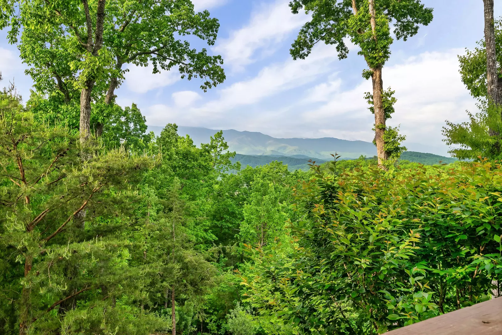 Property image, Exterior, of A Hiker's Dream Lodge #3647