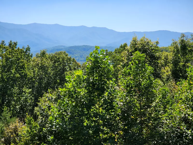 Property image, Exterior, of A Hiker's Dream Lodge #3647