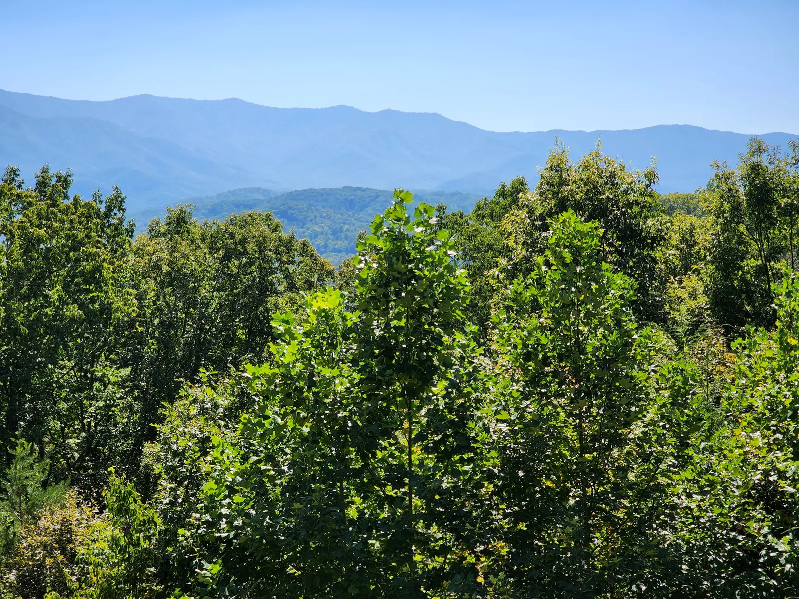 Property image, Exterior, of A Hiker's Dream Lodge #3647