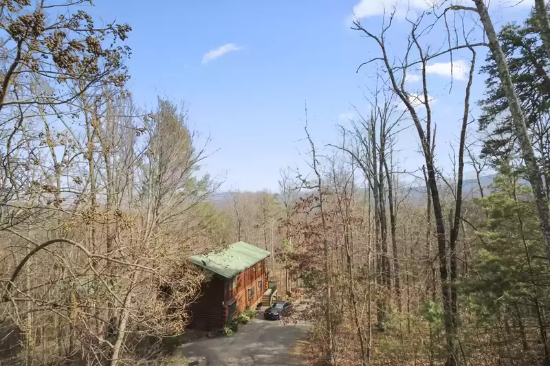 Property image, Exterior, of Smoky Treehouse Lodge  #614