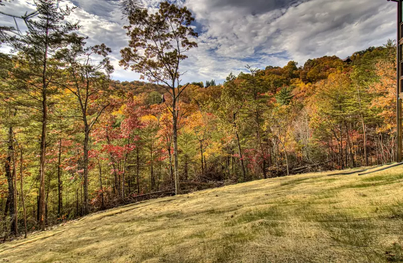 Property image, Exterior, of Honey Bear Hill #326