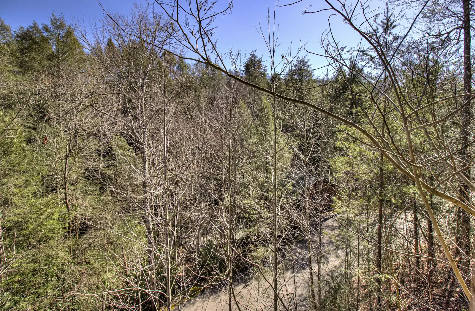 Property image, Exterior, of Black Beary Lodge #423