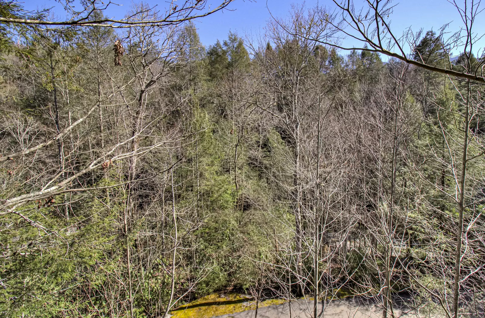 Property image, Exterior, of Black Beary Lodge #423