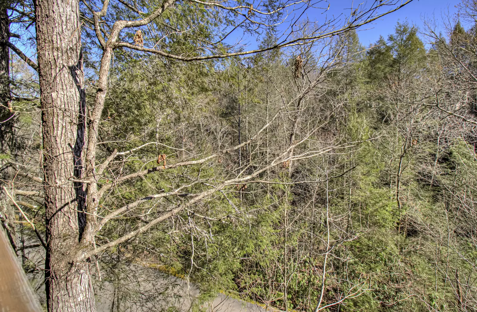 Property image, Exterior, of Black Beary Lodge #423