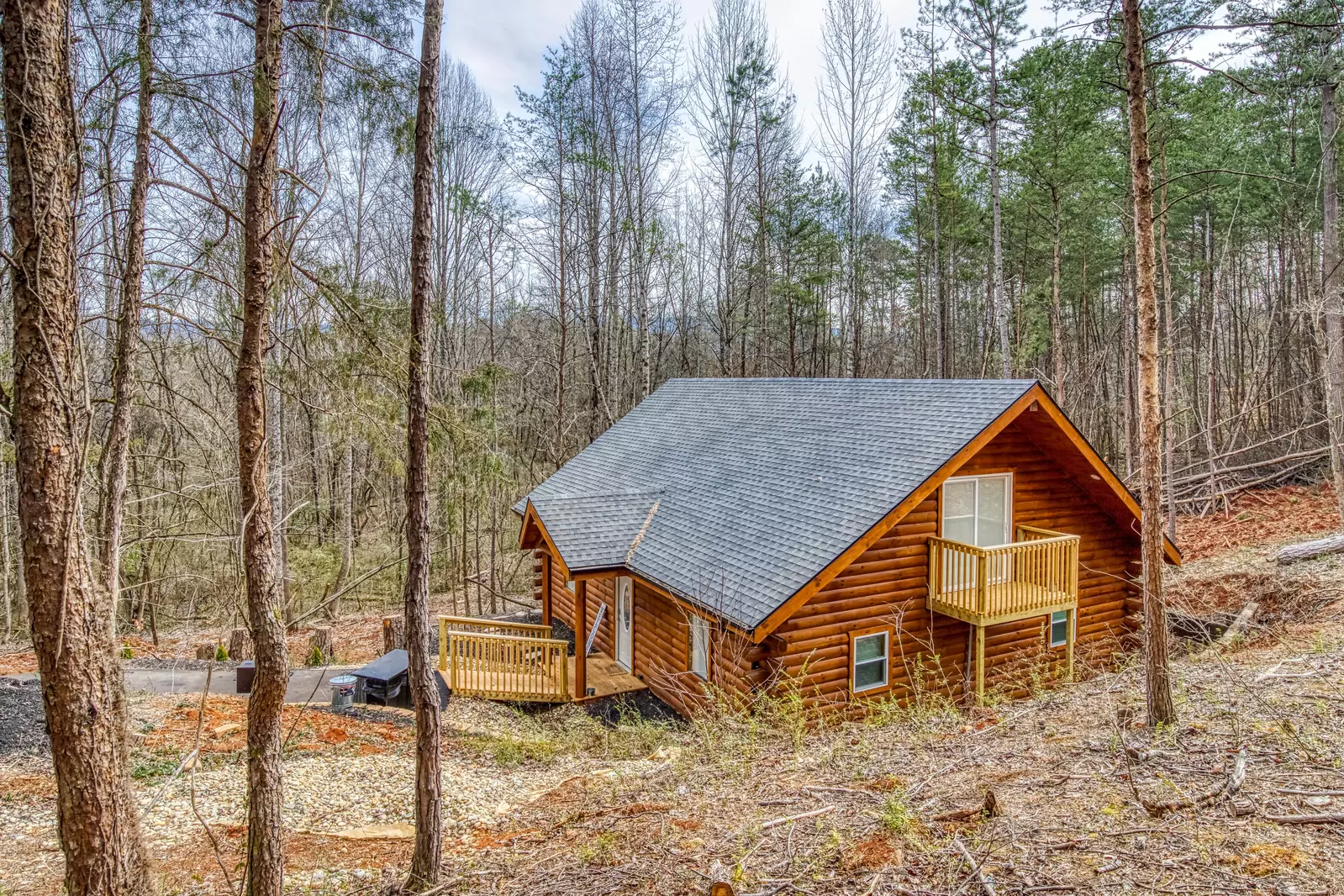 Property image, Exterior, of A Playful Bears Cabin #312