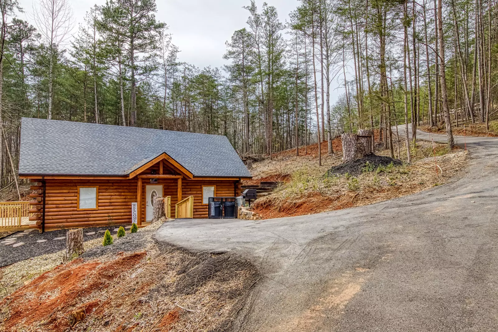 Property image, Exterior, of A Playful Bears Cabin #312