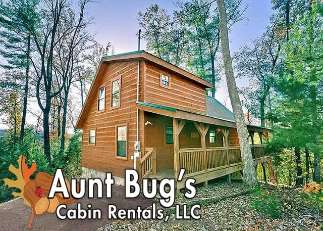 Aunt Bug's Cabin Rentals