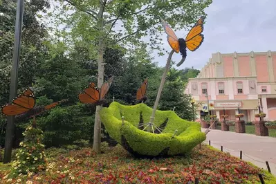 butterfly plant sculpture dollywood flower and food festival