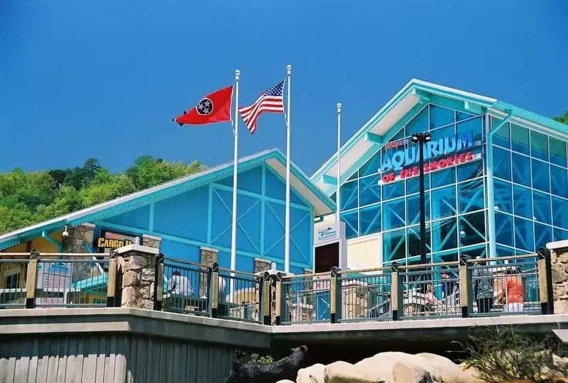 ripley's aquarium of the smokies