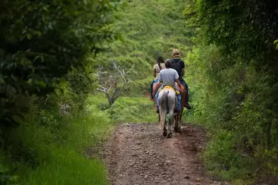 horseback