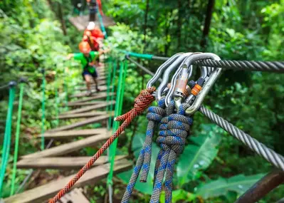 zipline