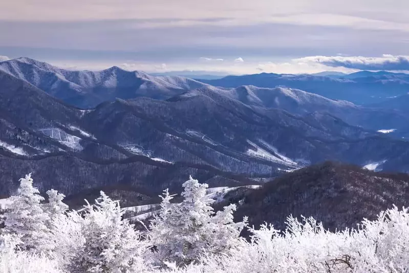 smokies in snow