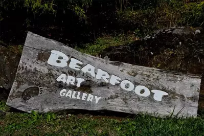 bearfoot art gallery