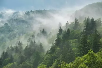 rain in the smoky mountains