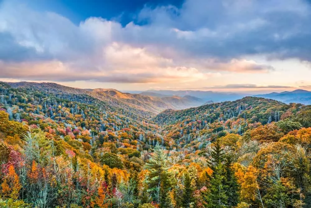 10 Clever Smoky Mountain Quotes That Will Make You Want to Visit