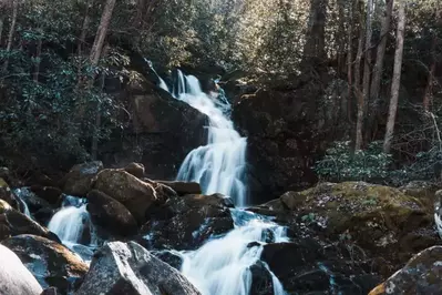 Mouse Creek Falls in the Smokies.