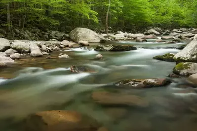 The Little Pigeon River in the Greenbrier section of the Smoky Mountains.