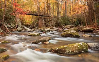 gatlinburg trail rover