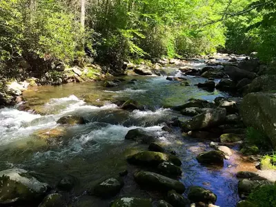 Pigeon River near Gatlinburg TN