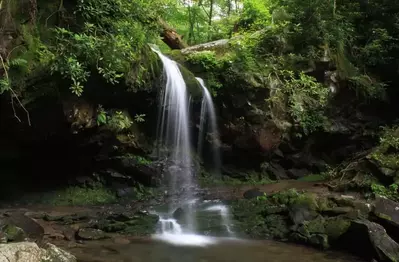 Grotto Falls in the Smoky Mountains.