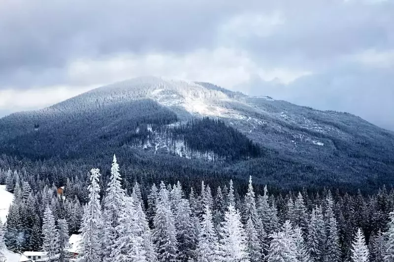 Scenic photo of the Smoky Mountains in winter.