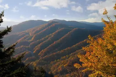 Stunning Gatlinburg TN fall colors in the mountains.