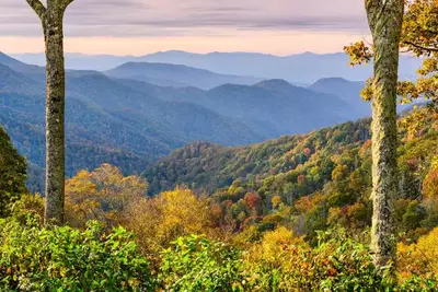 Stunning Gatlinburg TN fall foliage at Newfound Gap.