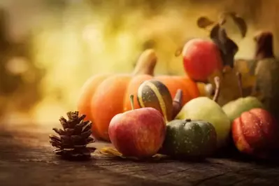 Pumpkin and fruit decorations for celebrating Thanksgiving in Pigeon Forge.