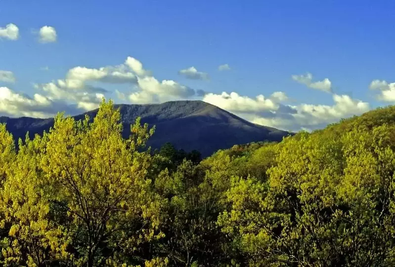 View of Mount LeContet in the Smoky Mountains