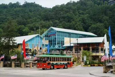 Ripley's Aquarium in Gatlinburg TN.