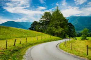 The winding road in Cades Cove.