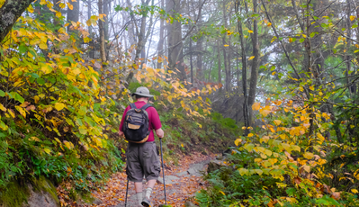 hiking in the smoky mountains